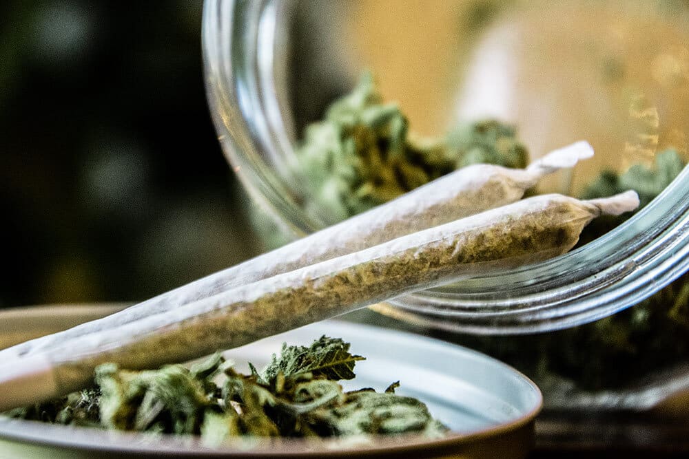 Marijuana joints rolled next to cannabis buds