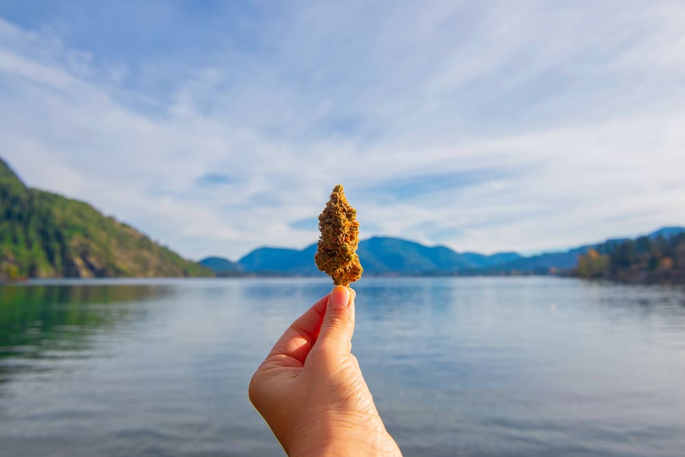 A hand holding up a cannabis nugget in front of a lake