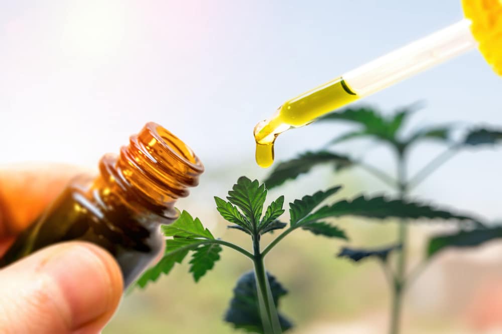 An up close shot of cannabis oil and a cannabis plant