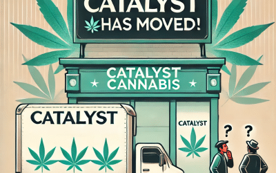 Catalyst Santa Ana Has Moved: Discover Superior Alternatives at From The Earth